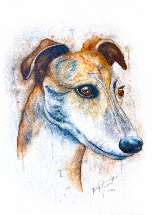 Greyhound watercolour portrait – A4 canvas print